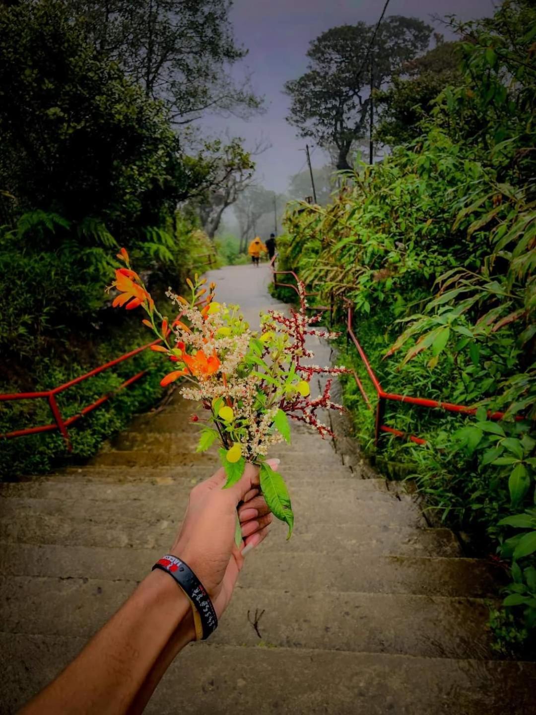Dilani Adamspeak Riverstay Наллатания Экстерьер фото