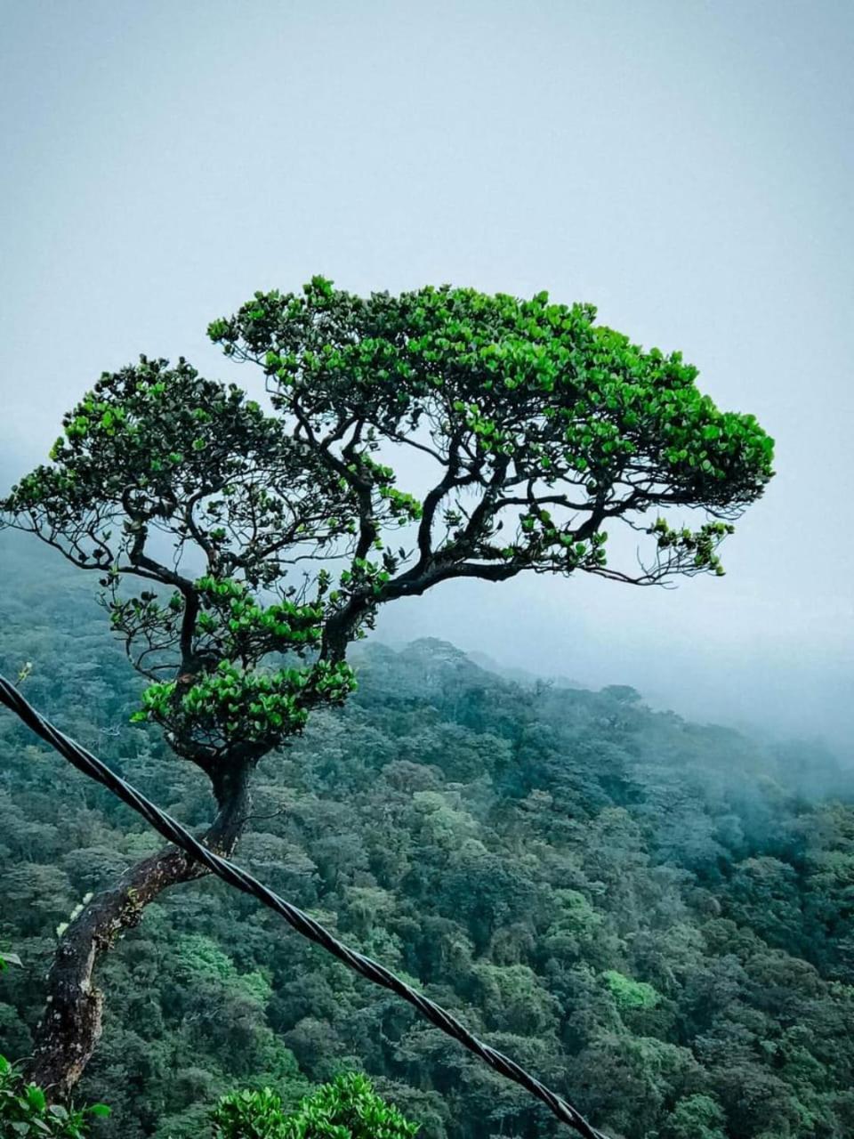 Dilani Adamspeak Riverstay Наллатания Экстерьер фото